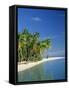 Tropical Beach with Palm Trees at Kudabandos in the Maldive Islands, Indian Ocean-Tovy Adina-Framed Stretched Canvas