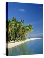 Tropical Beach with Palm Trees at Kudabandos in the Maldive Islands, Indian Ocean-Tovy Adina-Stretched Canvas