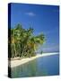 Tropical Beach with Palm Trees at Kudabandos in the Maldive Islands, Indian Ocean-Tovy Adina-Stretched Canvas