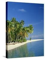 Tropical Beach with Palm Trees at Kudabandos in the Maldive Islands, Indian Ocean-Tovy Adina-Stretched Canvas