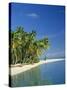 Tropical Beach with Palm Trees at Kudabandos in the Maldive Islands, Indian Ocean-Tovy Adina-Stretched Canvas