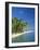 Tropical Beach with Palm Trees at Kudabandos in the Maldive Islands, Indian Ocean-Tovy Adina-Framed Photographic Print