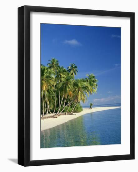 Tropical Beach with Palm Trees at Kudabandos in the Maldive Islands, Indian Ocean-Tovy Adina-Framed Photographic Print