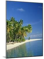 Tropical Beach with Palm Trees at Kudabandos in the Maldive Islands, Indian Ocean-Tovy Adina-Mounted Photographic Print