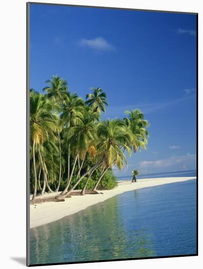 Tropical Beach with Palm Trees at Kudabandos in the Maldive Islands, Indian Ocean-Tovy Adina-Mounted Photographic Print