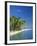 Tropical Beach with Palm Trees at Kudabandos in the Maldive Islands, Indian Ocean-Tovy Adina-Framed Photographic Print