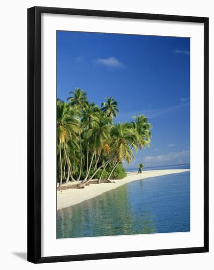 Tropical Beach with Palm Trees at Kudabandos in the Maldive Islands, Indian Ocean-Tovy Adina-Framed Photographic Print