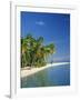 Tropical Beach with Palm Trees at Kudabandos in the Maldive Islands, Indian Ocean-Tovy Adina-Framed Photographic Print