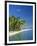 Tropical Beach with Palm Trees at Kudabandos in the Maldive Islands, Indian Ocean-Tovy Adina-Framed Photographic Print