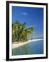 Tropical Beach with Palm Trees at Kudabandos in the Maldive Islands, Indian Ocean-Tovy Adina-Framed Photographic Print