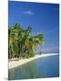 Tropical Beach with Palm Trees at Kudabandos in the Maldive Islands, Indian Ocean-Tovy Adina-Mounted Photographic Print