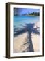 Tropical Beach with Pink Flamencos Aruba-George Oze-Framed Photographic Print