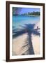 Tropical Beach with Pink Flamencos Aruba-George Oze-Framed Photographic Print