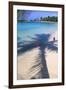 Tropical Beach with Pink Flamencos Aruba-George Oze-Framed Photographic Print