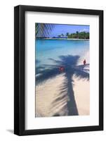 Tropical Beach with Pink Flamencos Aruba-George Oze-Framed Photographic Print