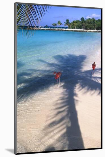 Tropical Beach with Pink Flamencos Aruba-George Oze-Mounted Photographic Print