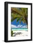 Tropical Beach with White Sand-pashapixel-Framed Photographic Print