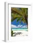 Tropical Beach with White Sand-pashapixel-Framed Photographic Print