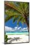 Tropical Beach with White Sand-pashapixel-Mounted Photographic Print