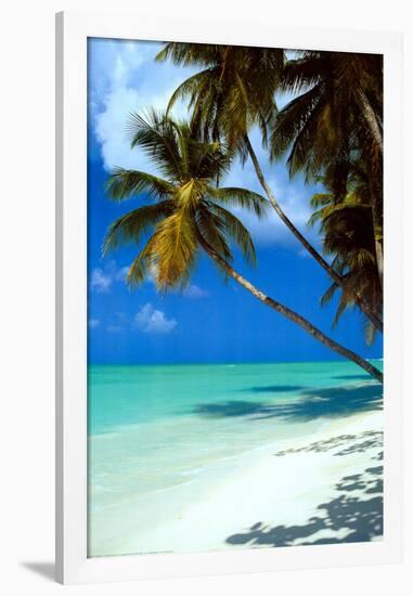 Tropical Beach-null-Framed Poster