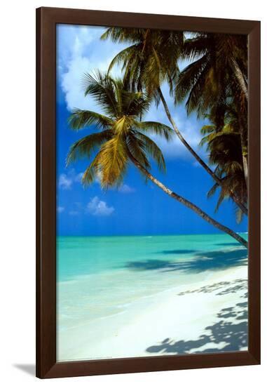 Tropical Beach--Framed Poster