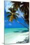 Tropical Beach-null-Mounted Poster