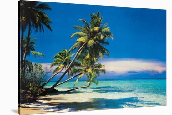 Tropical Beach-null-Stretched Canvas