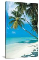 Tropical Beach-null-Stretched Canvas