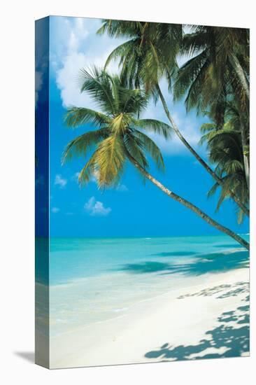 Tropical Beach-null-Stretched Canvas