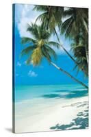 Tropical Beach-null-Stretched Canvas