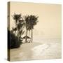 Tropical beach-null-Stretched Canvas