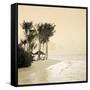 Tropical beach-null-Framed Stretched Canvas