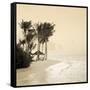 Tropical beach-null-Framed Stretched Canvas