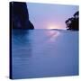 Tropical Beach-null-Stretched Canvas