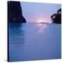 Tropical Beach-null-Stretched Canvas