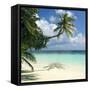 Tropical Beach-Peter Scoones-Framed Stretched Canvas