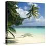 Tropical Beach-Peter Scoones-Stretched Canvas