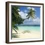 Tropical Beach-Peter Scoones-Framed Premium Photographic Print