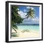 Tropical Beach-Peter Scoones-Framed Premium Photographic Print