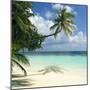 Tropical Beach-Peter Scoones-Mounted Premium Photographic Print