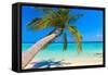 Tropical Beach-Molbert-Framed Stretched Canvas