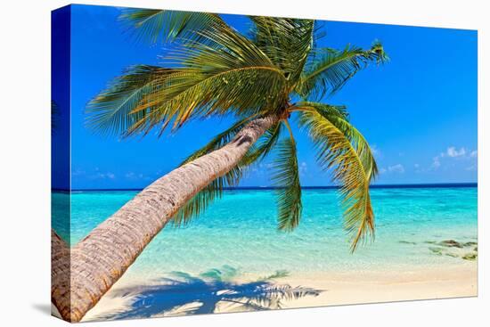 Tropical Beach-Molbert-Stretched Canvas