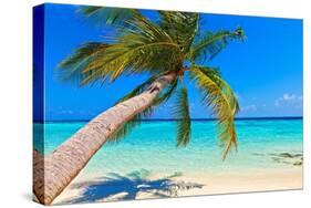 Tropical Beach-Molbert-Stretched Canvas