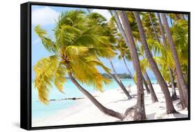 Tropical Beach-noblige-Framed Stretched Canvas