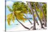Tropical Beach-noblige-Stretched Canvas