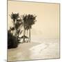 Tropical beach-null-Mounted Photographic Print