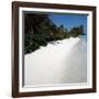 Tropical Beach-null-Framed Photographic Print