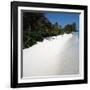 Tropical Beach-null-Framed Photographic Print