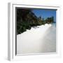 Tropical Beach-null-Framed Photographic Print