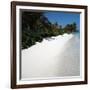 Tropical Beach-null-Framed Photographic Print